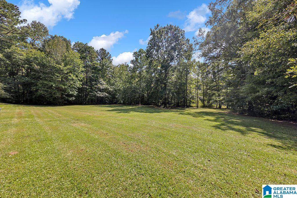 175 Quails Nest Road Odenville, AL 35120 - Photo 25 of 27