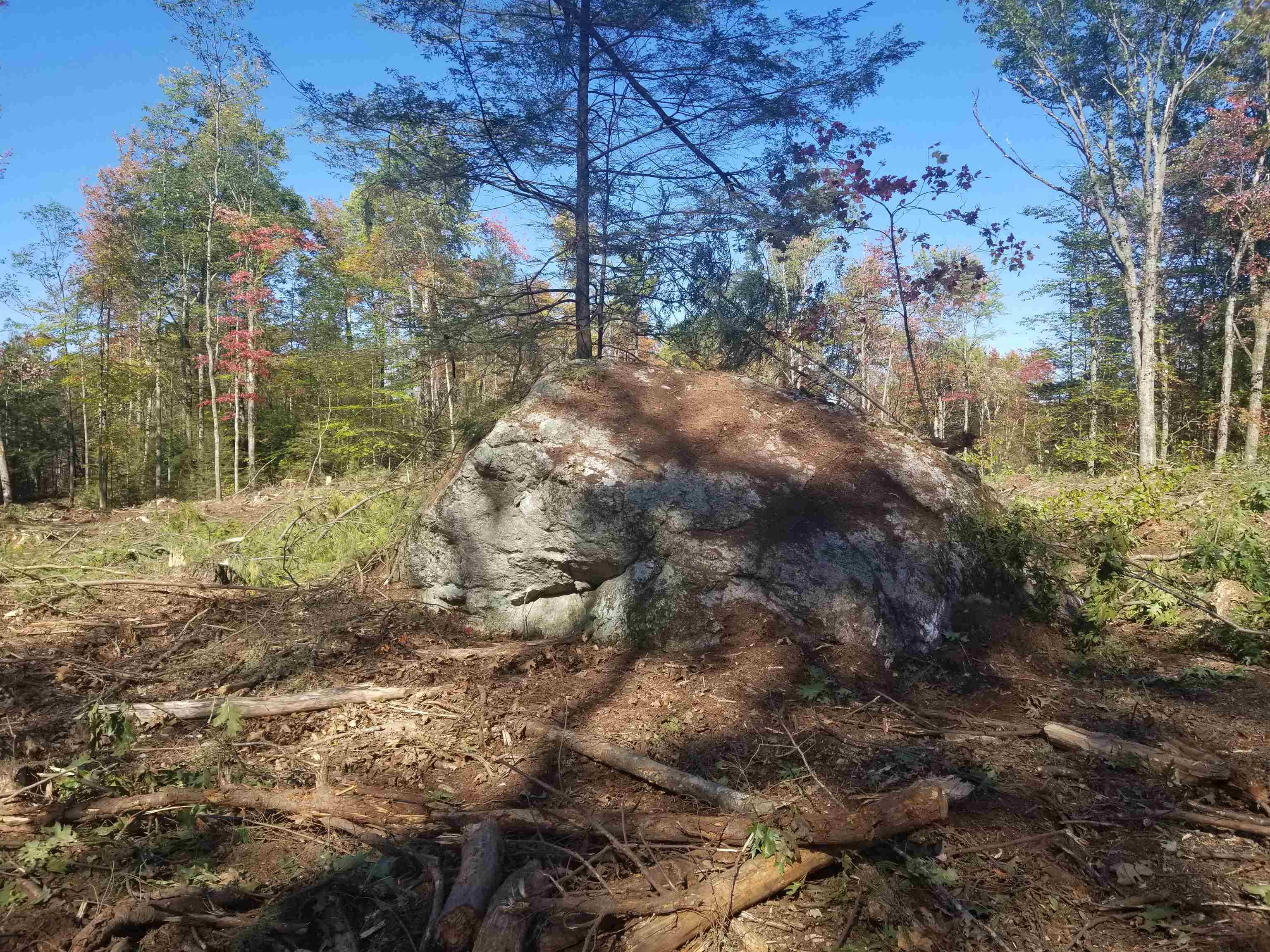 10-29 Daley Road Fitzwilliam, NH 03447 - Photo 5 of 9