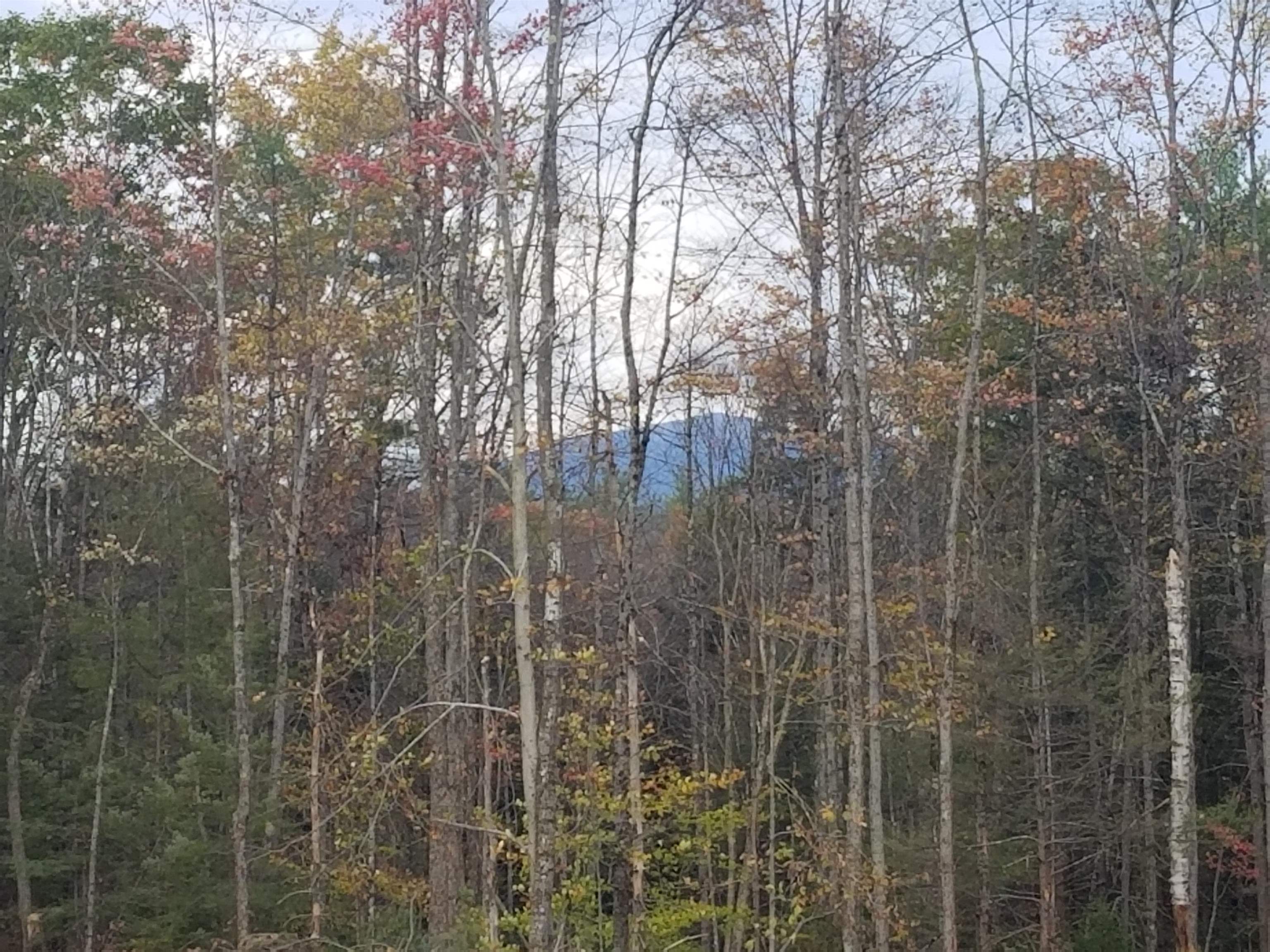 10-29 Daley Road Fitzwilliam, NH 03447 - Photo 7 of 9