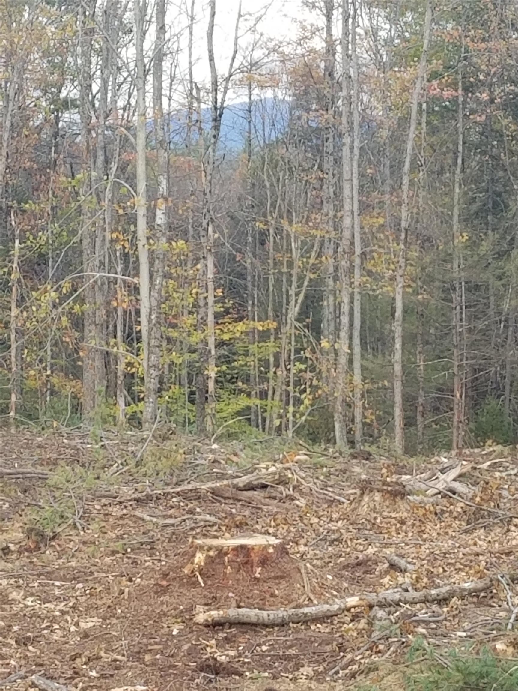 10-29 Daley Road Fitzwilliam, NH 03447 - Photo 8 of 9