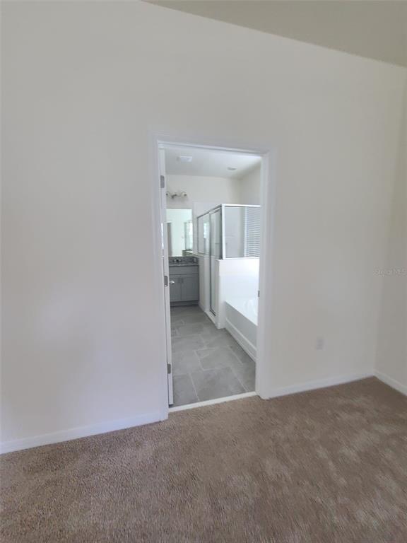 1608 Barberry Drive Kissimmee, FL 34744 - Photo 46 of 85