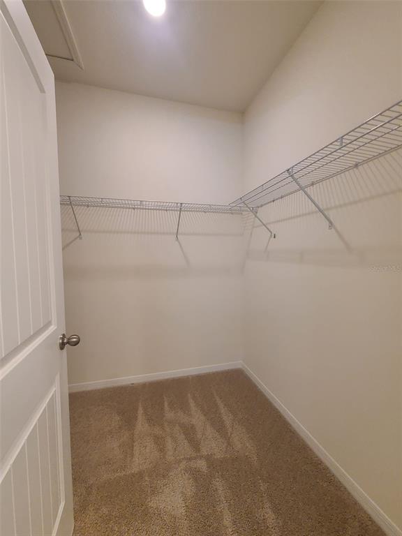 1608 Barberry Drive Kissimmee, FL 34744 - Photo 47 of 85