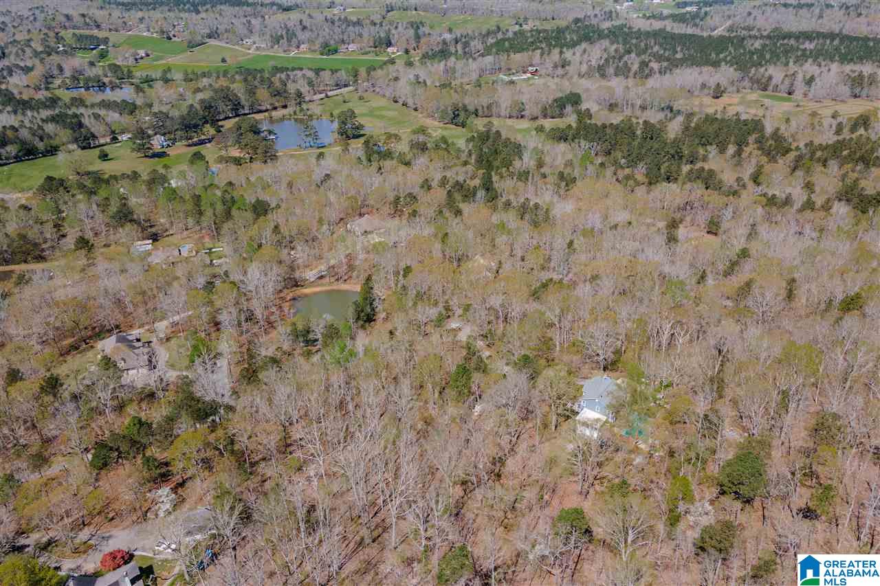 358 Jump Off Farms Road Odenville, AL 35120 - Photo 38 of 42