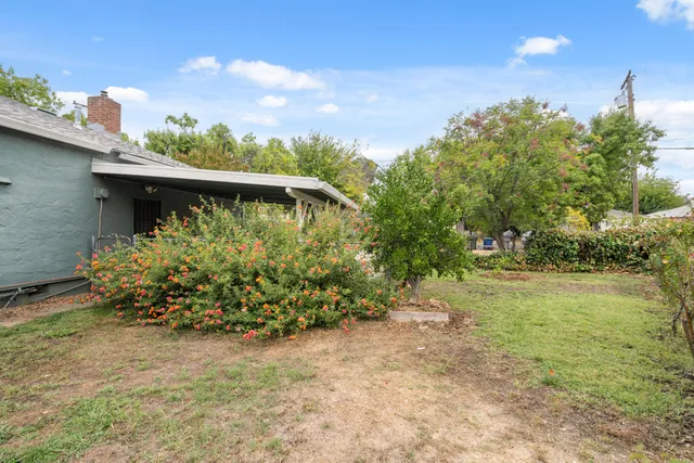 a view of a garden with plants