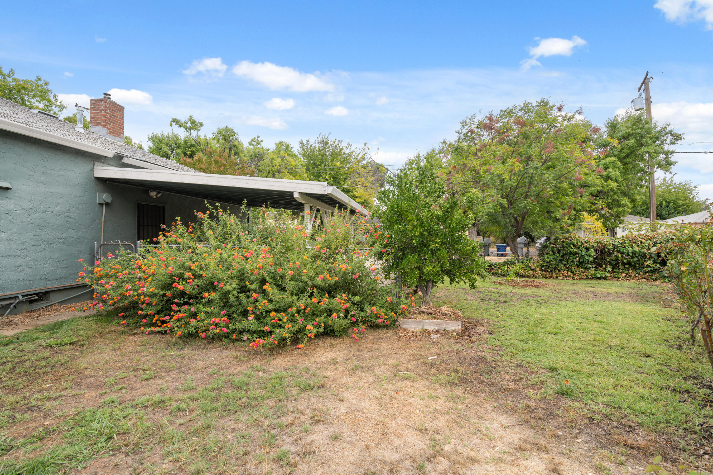 2056 Canal Drive Redding, CA 96001 - Photo 32 of 46 a view of a garden with plants