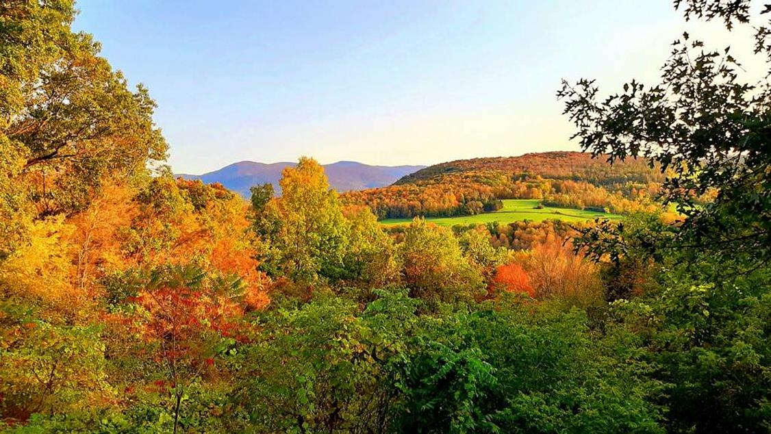 382 B Hill Road Pownal, VT 05261 - Photo 3 of 24 Gallery Image 3