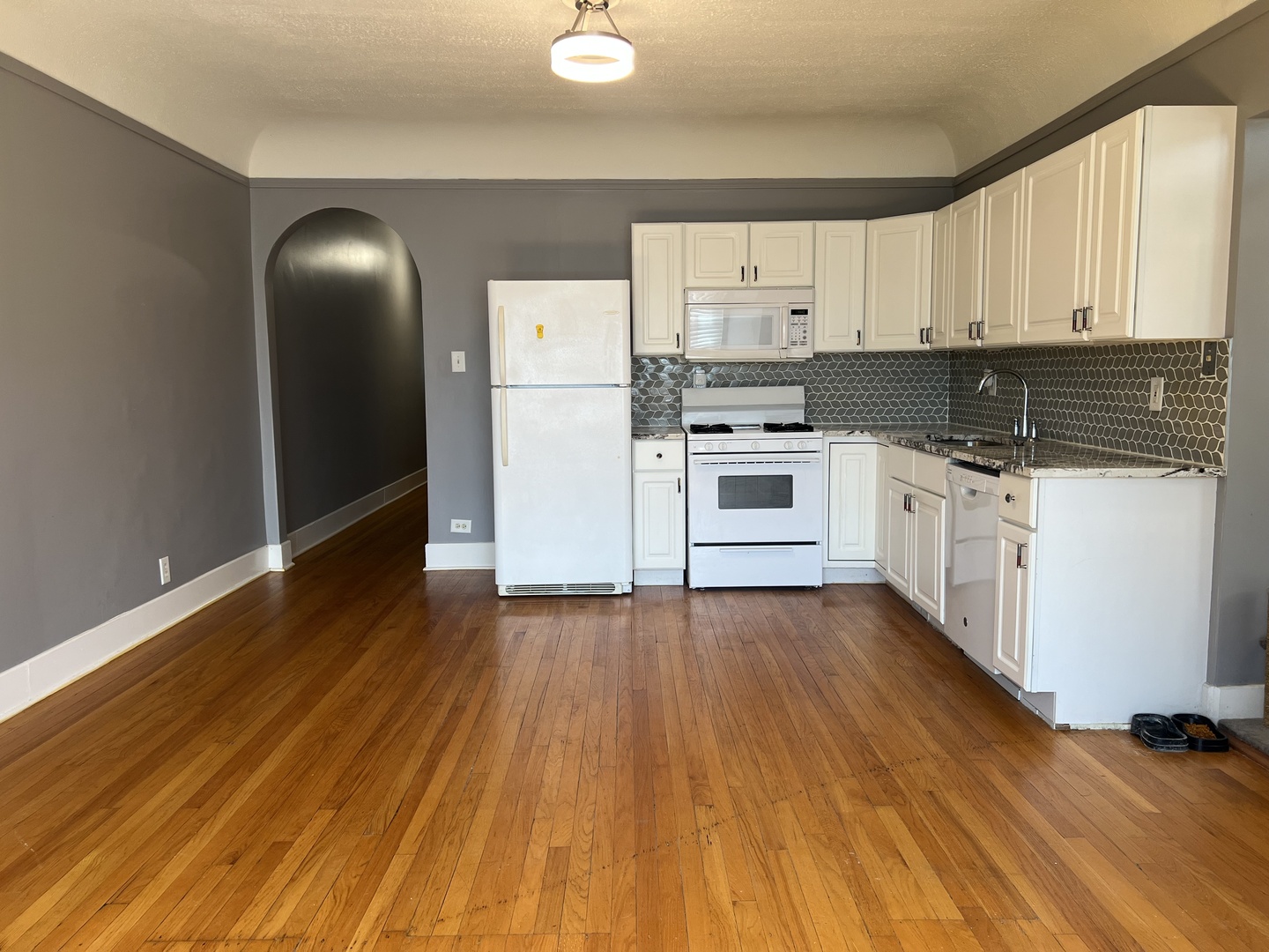 6926 South Paxton Avenue, Unit 2S Chicago, IL 60649 - Photo 3 of 10