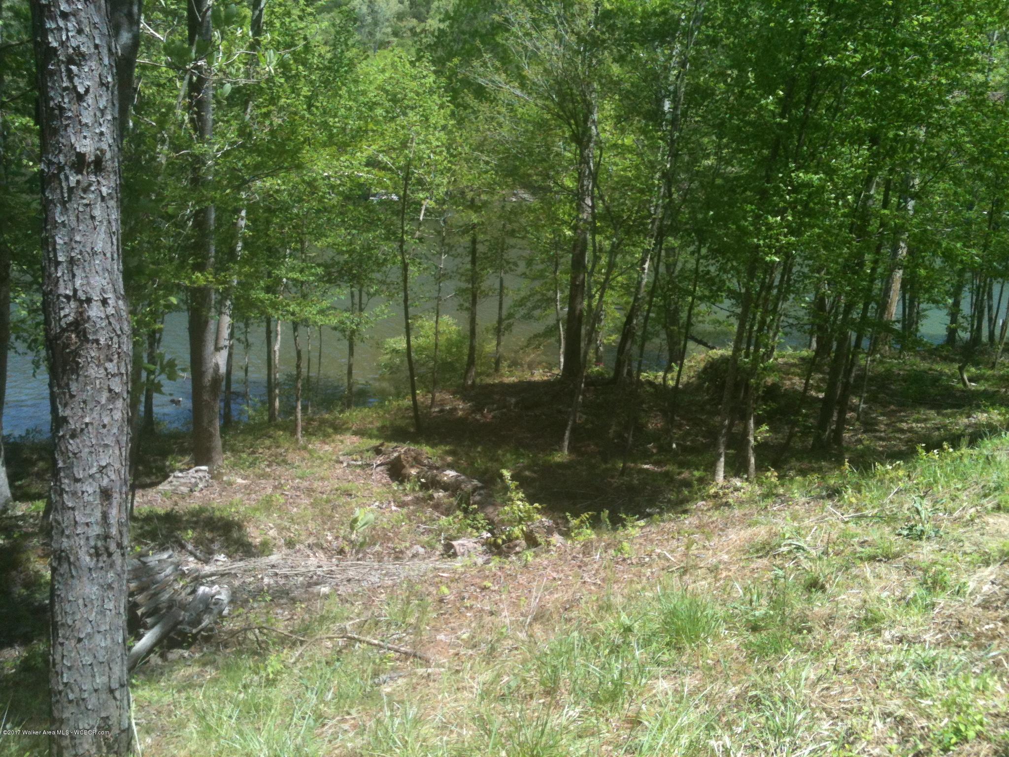 Lot 9 Ridge Point Drive Arley, AL 35540 - Photo 3 of 6 Gallery Image 3