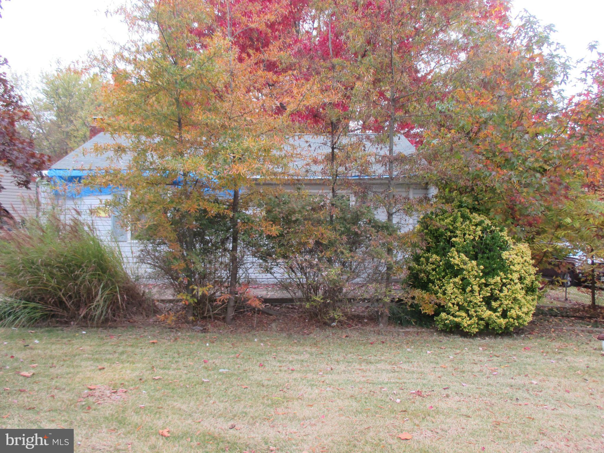 540 Londontown Road Edgewater, MD 21037 - Photo 1 of 14 a backyard of a house with lots of green space