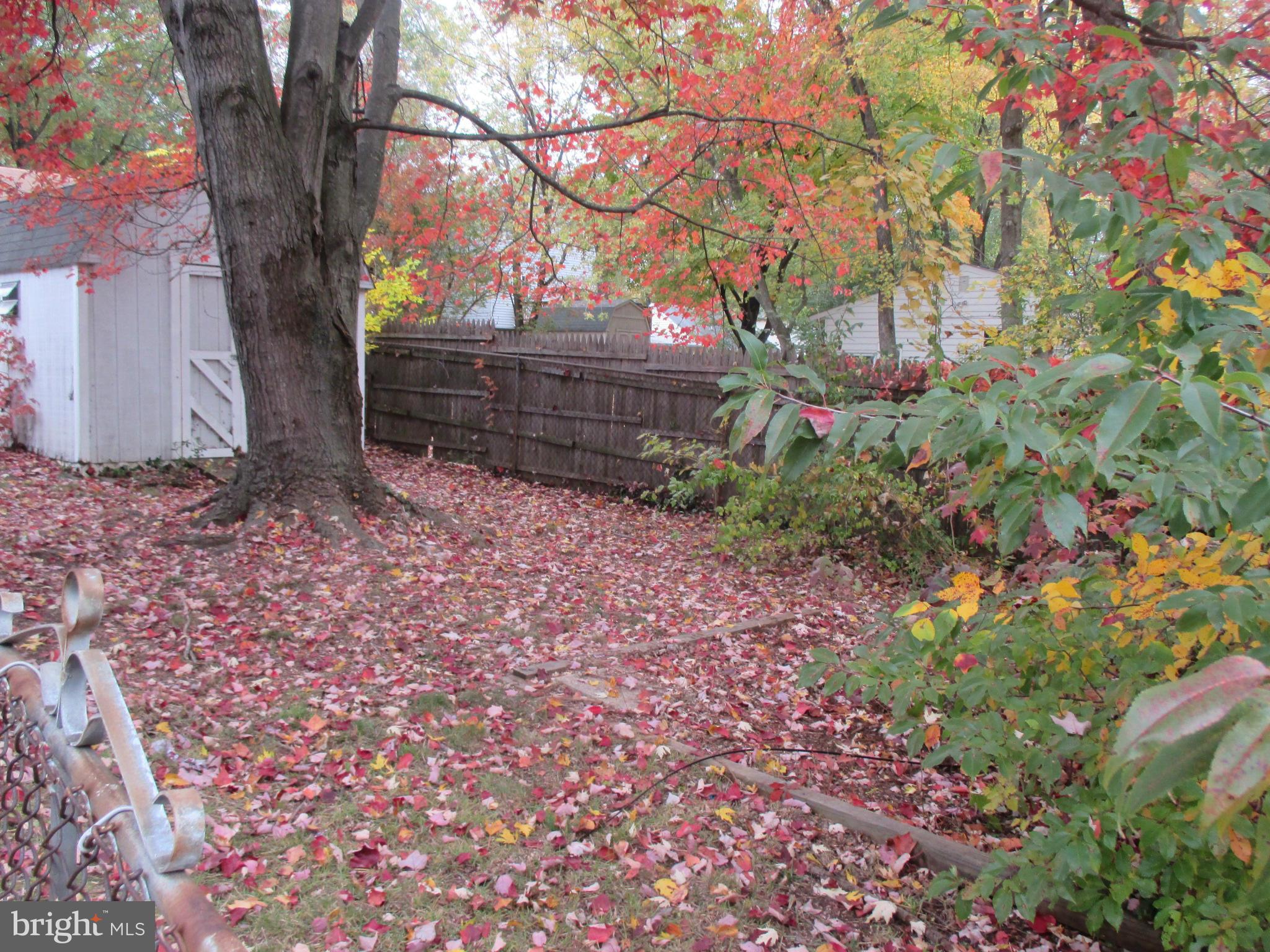 540 Londontown Road Edgewater, MD 21037 - Photo 4 of 14 a backyard of a house with lots of green space