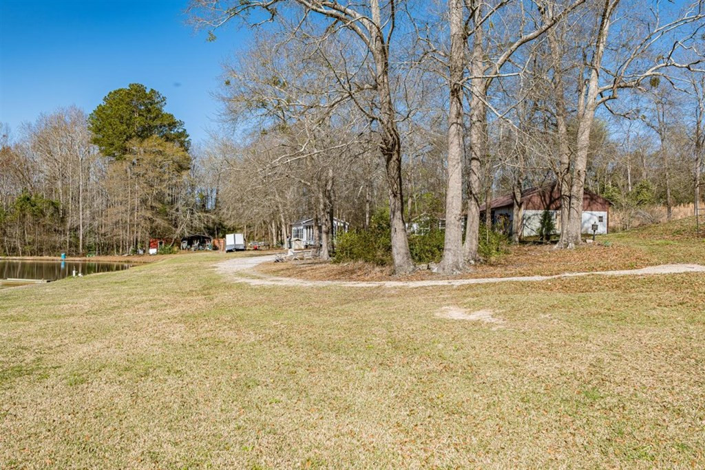 263 Greenville Road Warrenville, SC 29851 - Photo 12 of 42