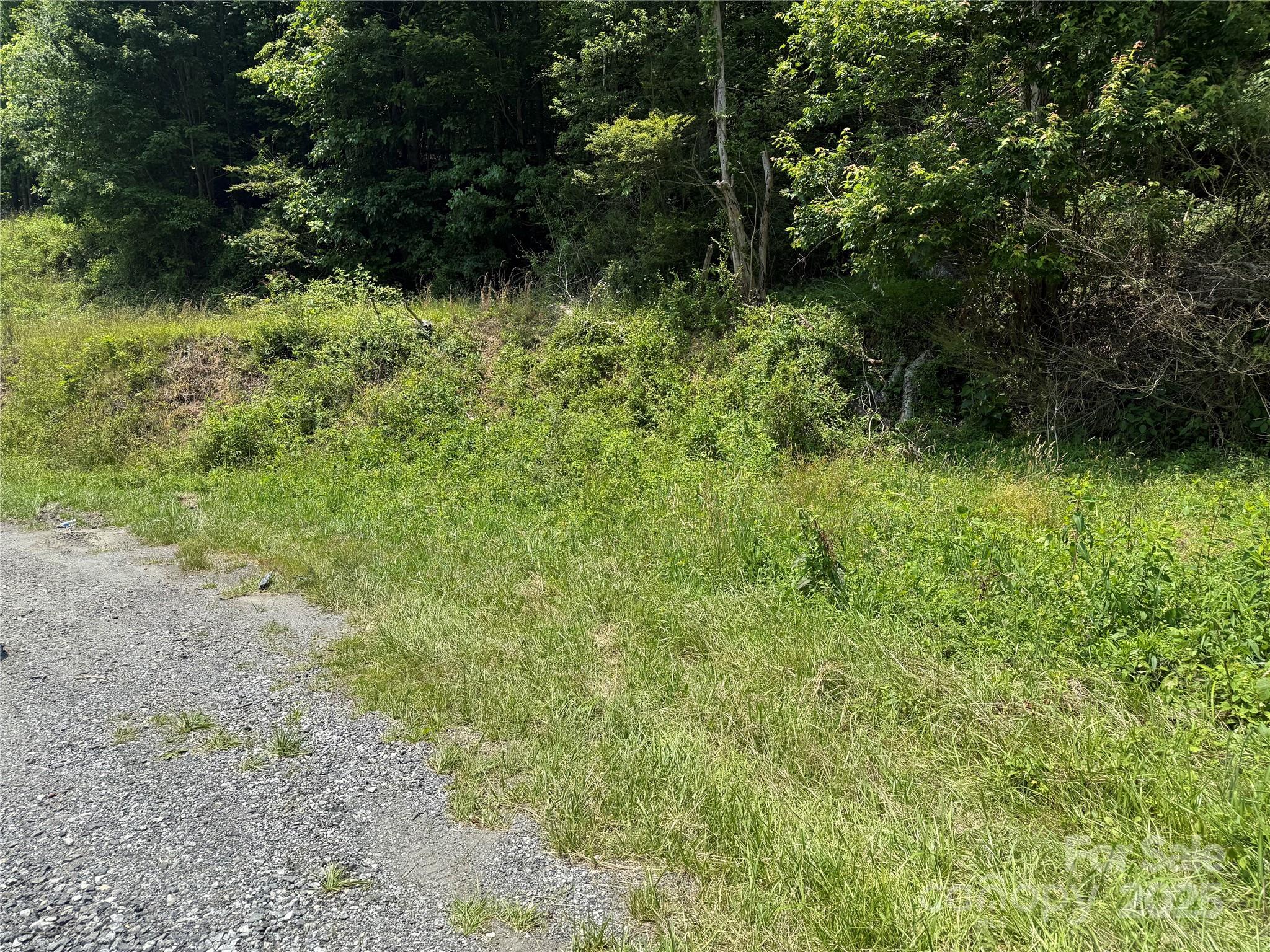 Tbd Gunter Town Road Marshall, NC 28753 - Photo 2 of 9