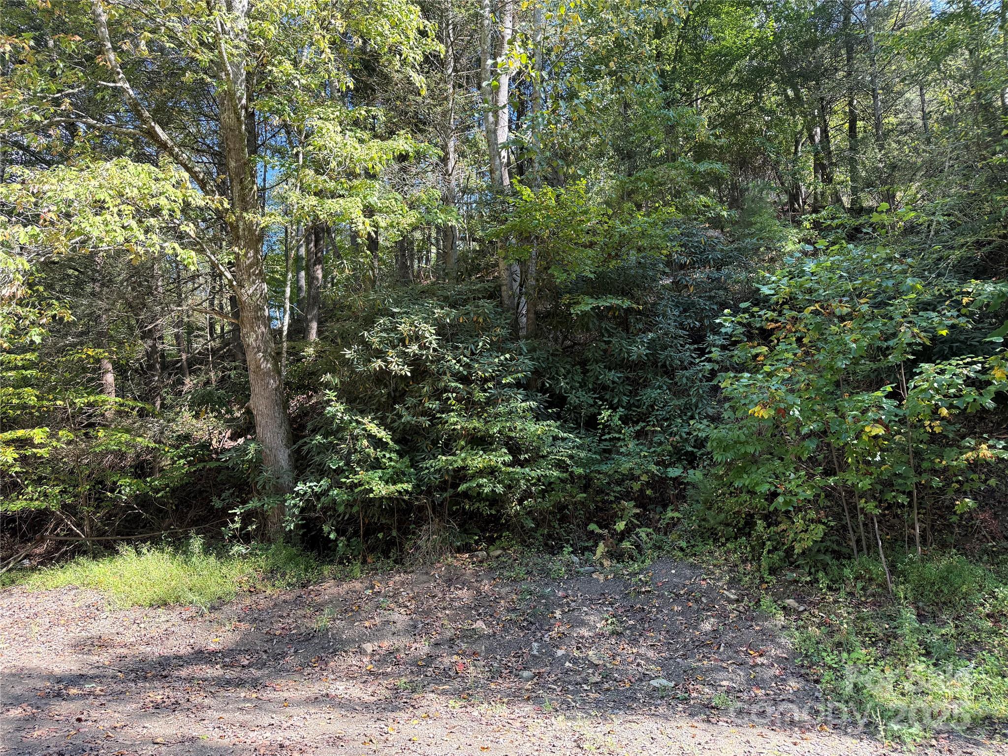 Tbd Gunter Town Road Marshall, NC 28753 - Photo 3 of 9