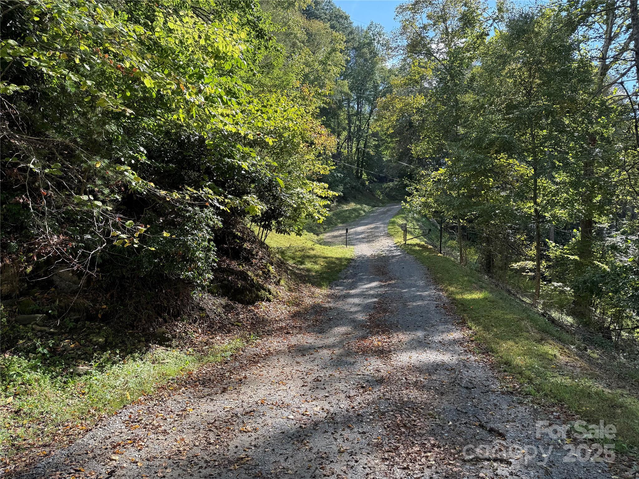 Tbd Gunter Town Road Marshall, NC 28753 - Photo 4 of 9