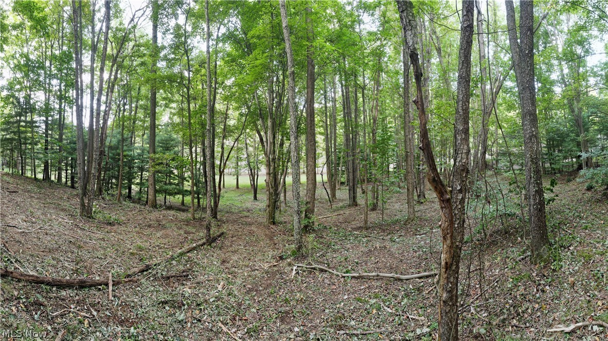 Middle Run Road Northwest Dover, OH 44622 - Photo 11 of 18 Gallery Image 11