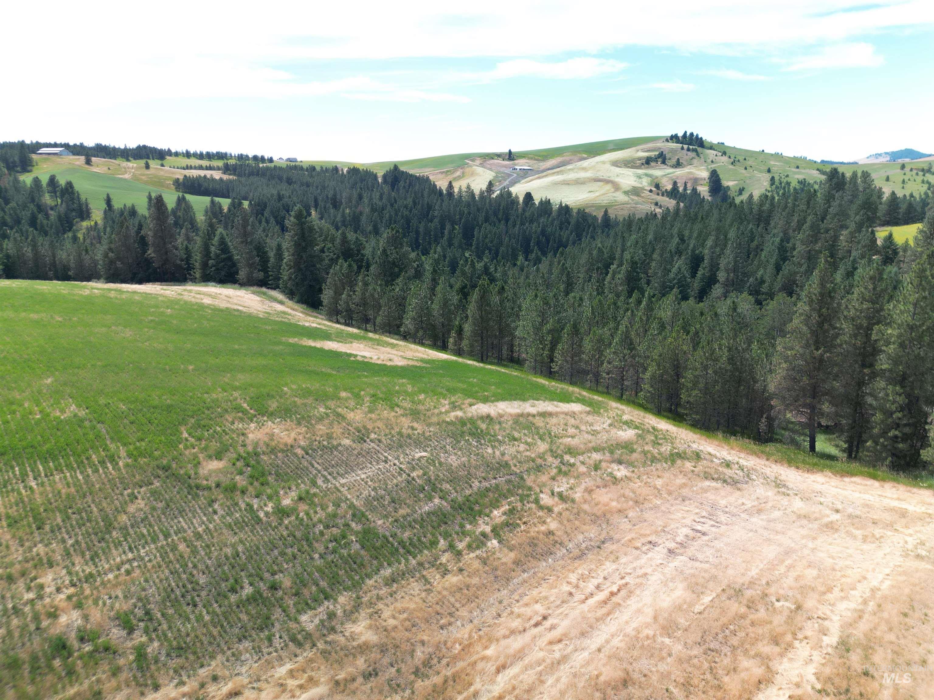0 Parkins Road Troy, ID 83871 - Photo 25 of 33