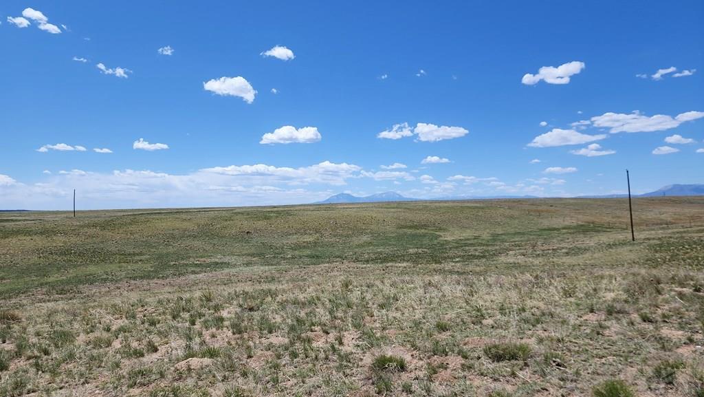 110 County Road 110 Rye, CO 81069 - Photo 10 of 37