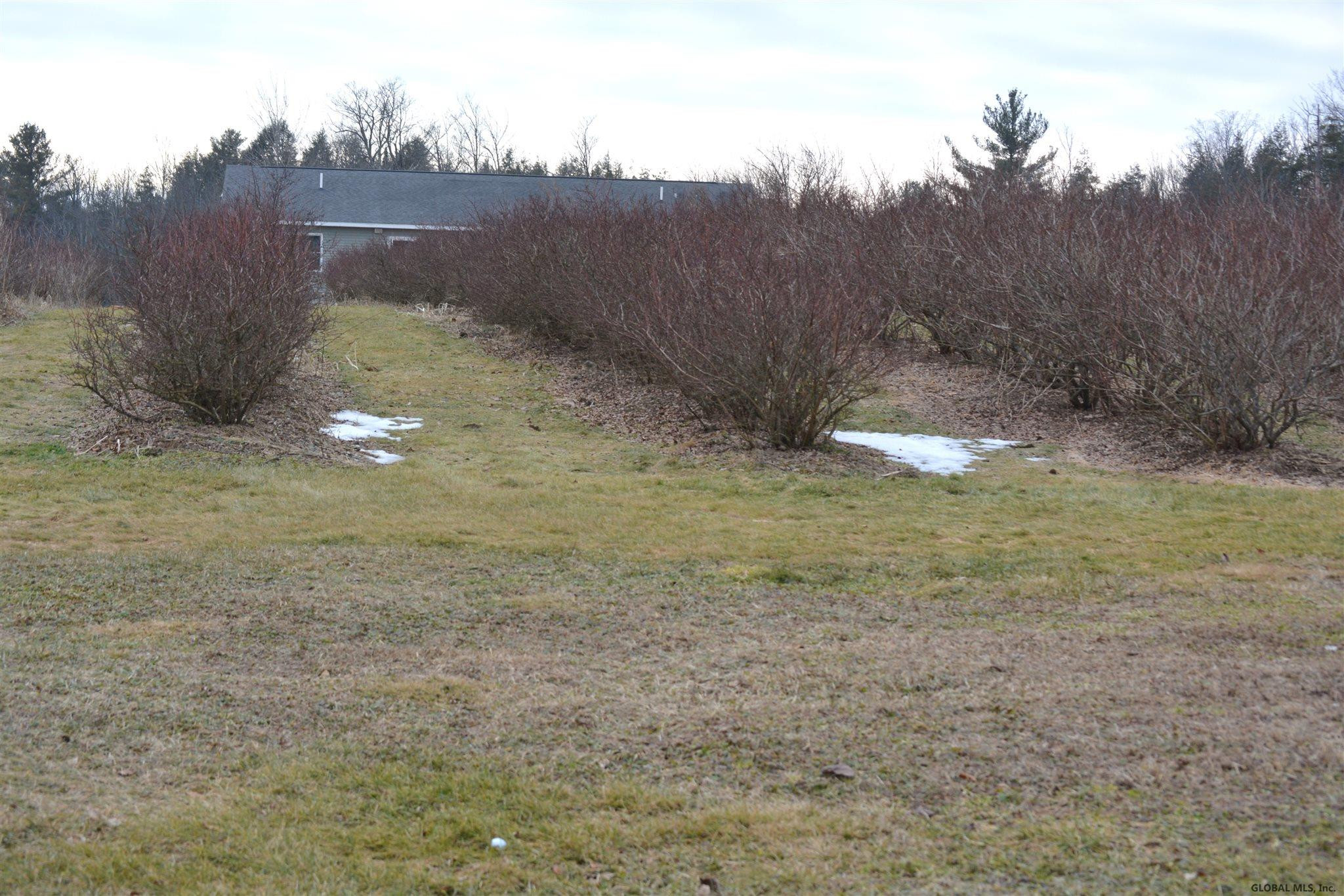 397 Stevers Mills Road Broadalbin, NY 12025 - Photo 15 of 19 Photo 15