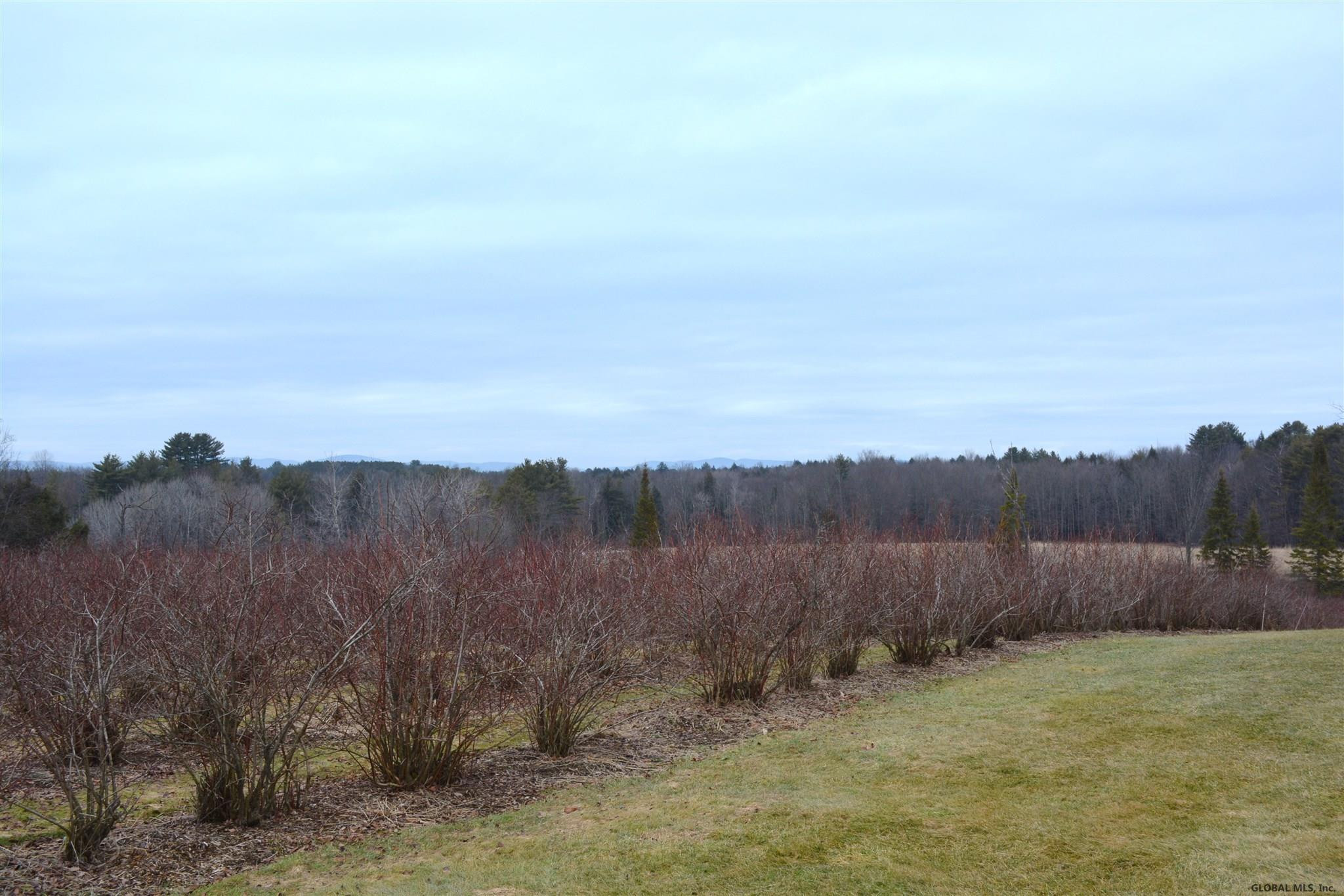 397 Stevers Mills Road Broadalbin, NY 12025 - Photo 16 of 19 Photo 16