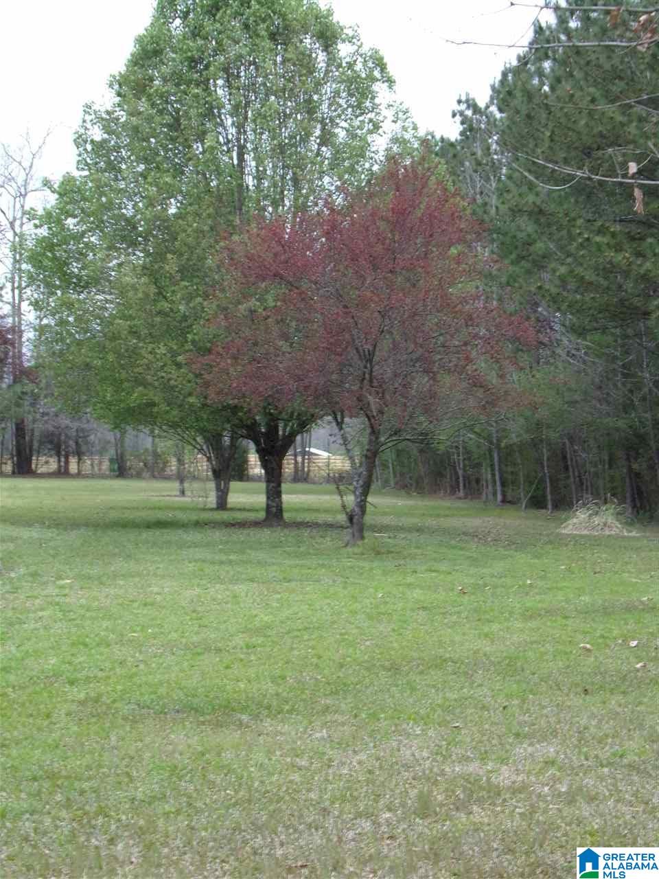 5530 Wolf Creek Road Pell City, AL 35128 - Photo 5 of 41