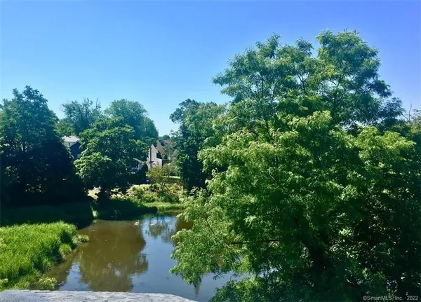 a view of a lake with a tree