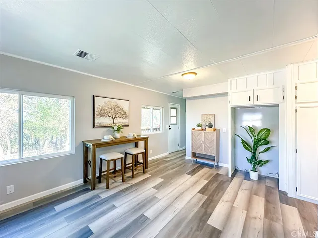 a room with kitchen island a potted plant and a window