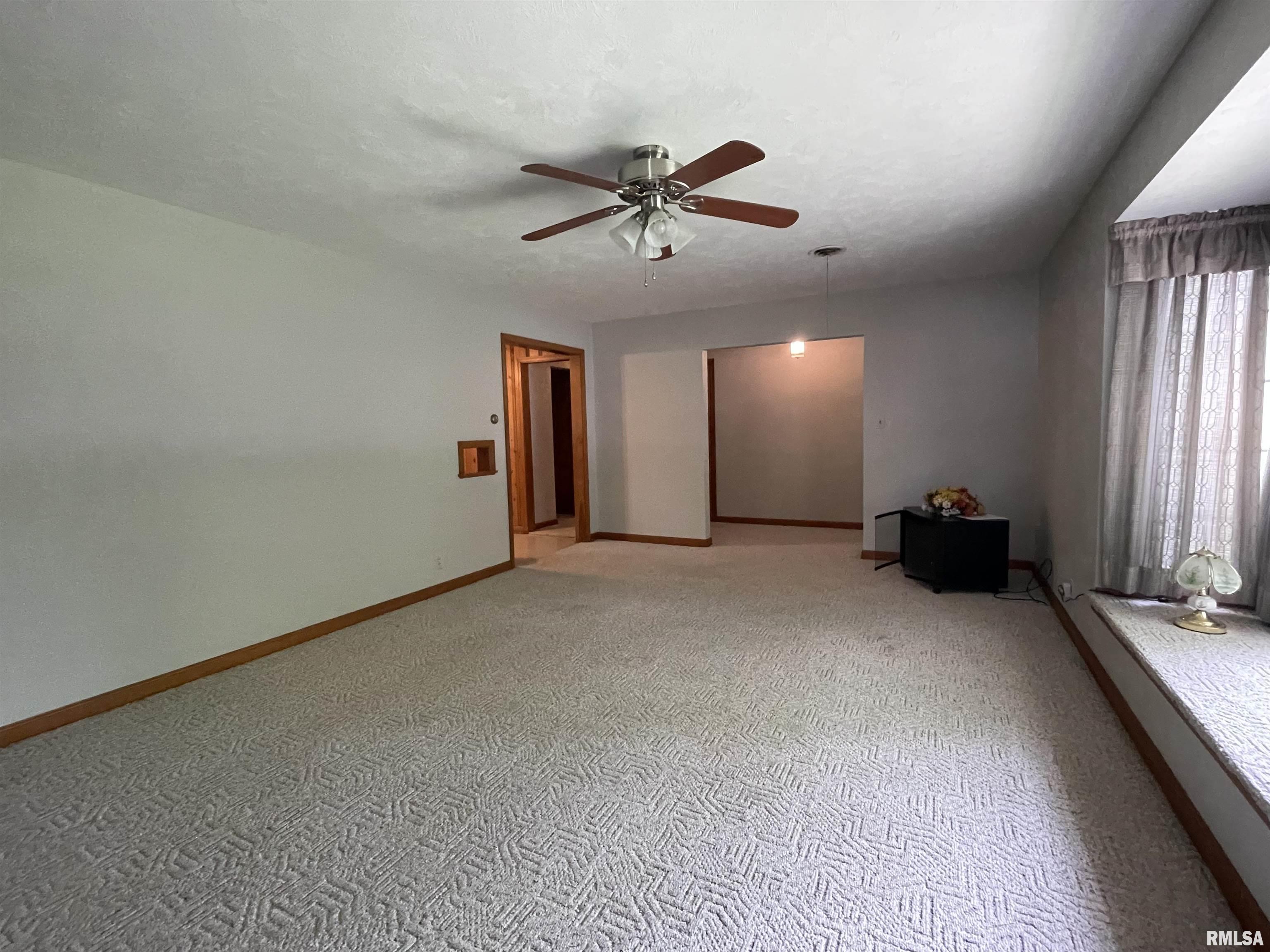 53 Candy Lane Murphysboro, IL 62966 - Photo 9 of 46