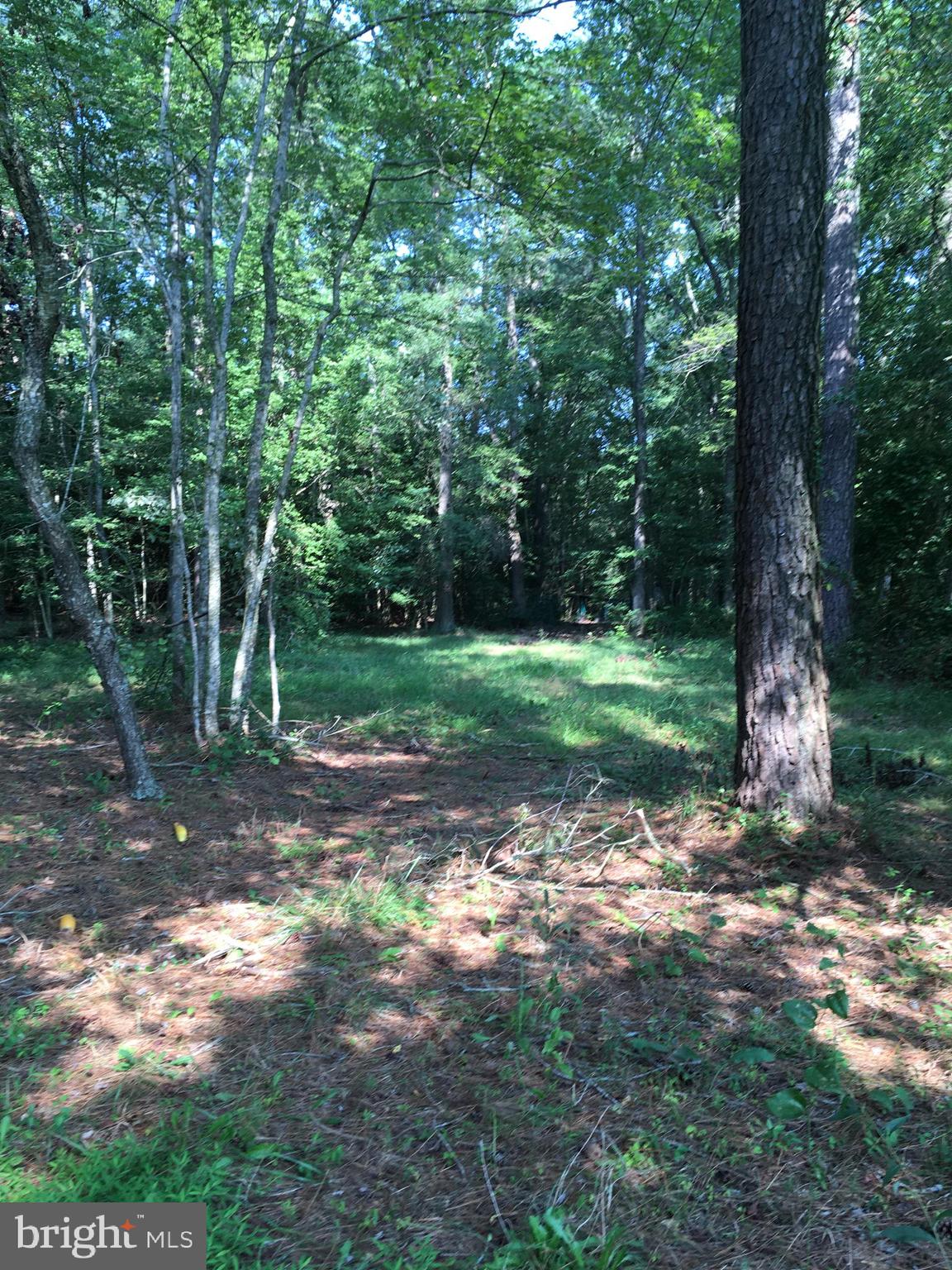 35316 Laws Road Pittsville, MD 21850 - Photo 1 of 10 Gallery Image 1