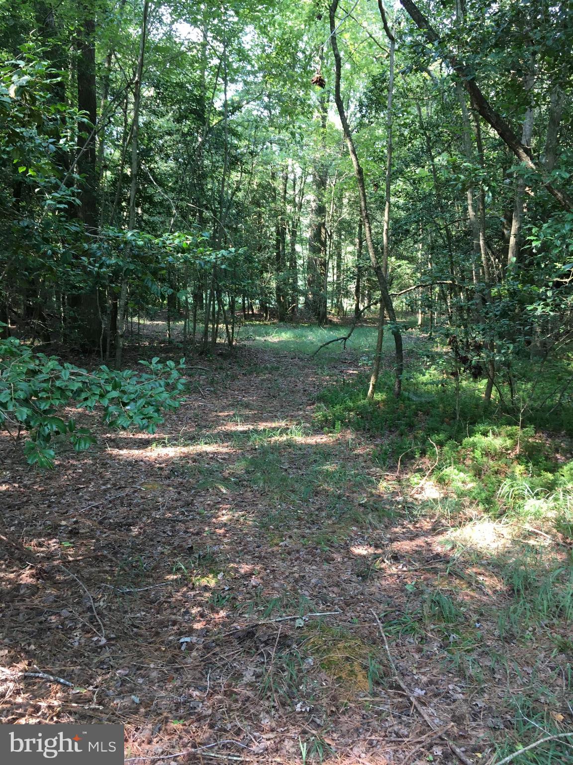 35316 Laws Road Pittsville, MD 21850 - Photo 3 of 10 Gallery Image 3