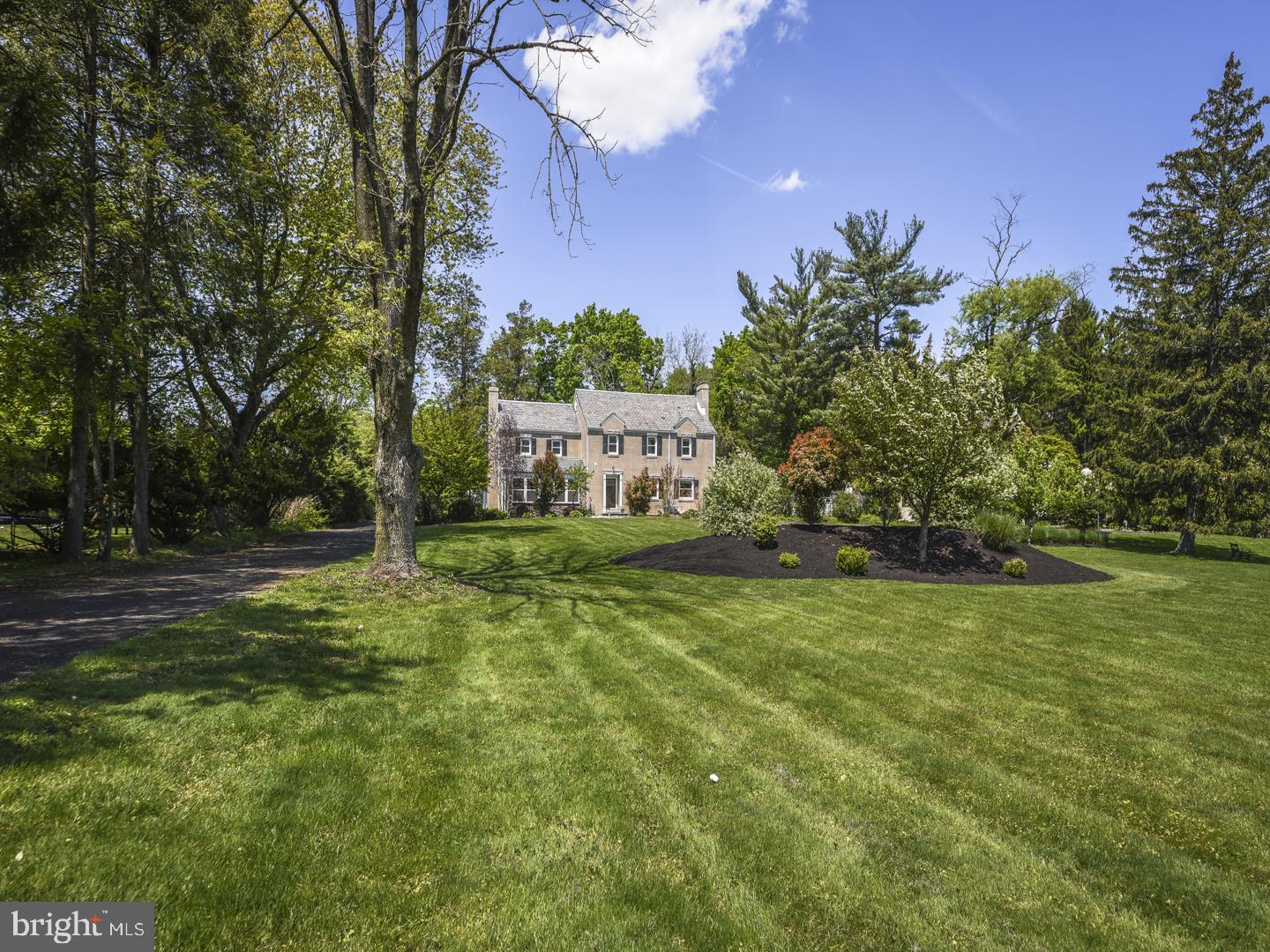 Private large yard