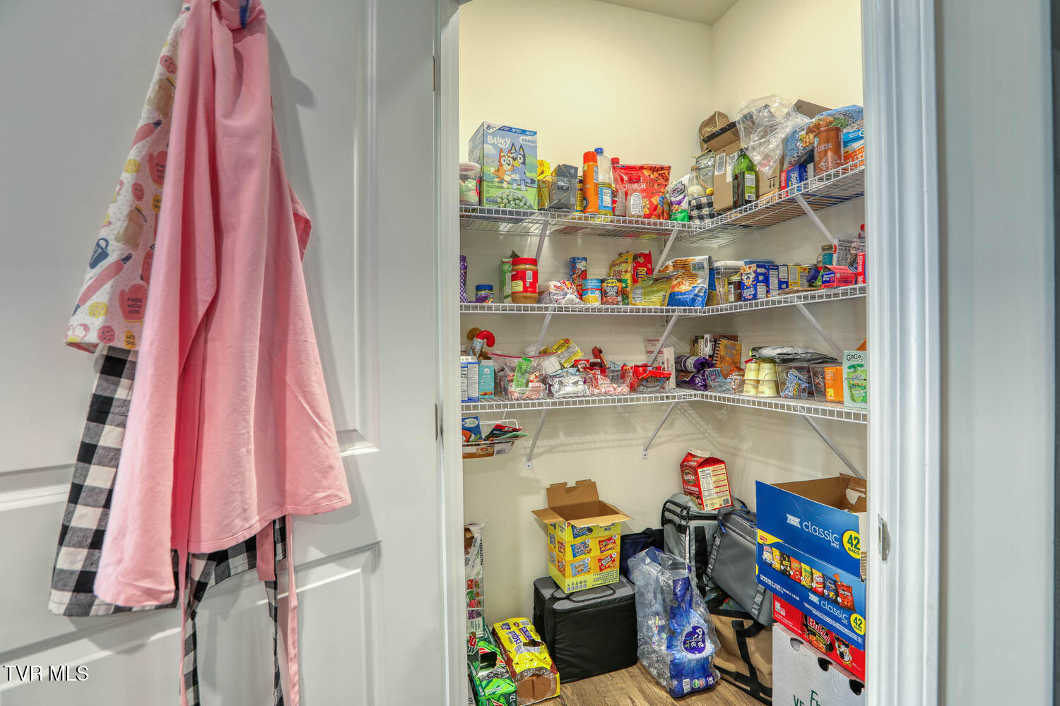 2484 Bridgeforth Crossing Kingsport, TN 37664 - Photo 27 of 66 Walk in pantry.