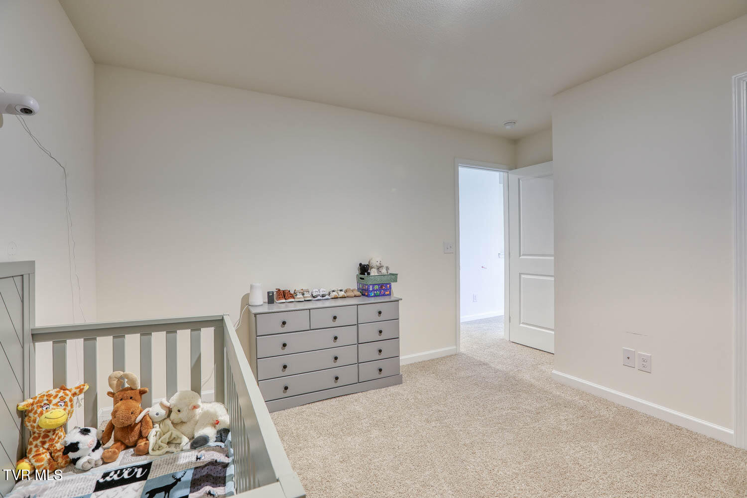 2484 Bridgeforth Crossing Kingsport, TN 37664 - Photo 60 of 66 2484 Edinburgh. Kpt MLSb (48 of 54)