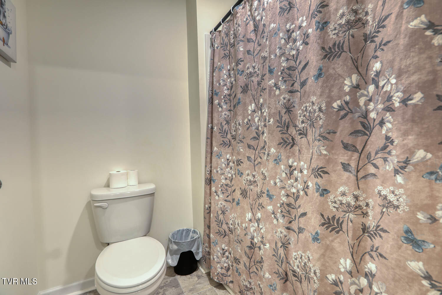 2484 Bridgeforth Crossing Kingsport, TN 37664 - Photo 62 of 66 2484 Edinburgh. Kpt MLSb (50 of 54)