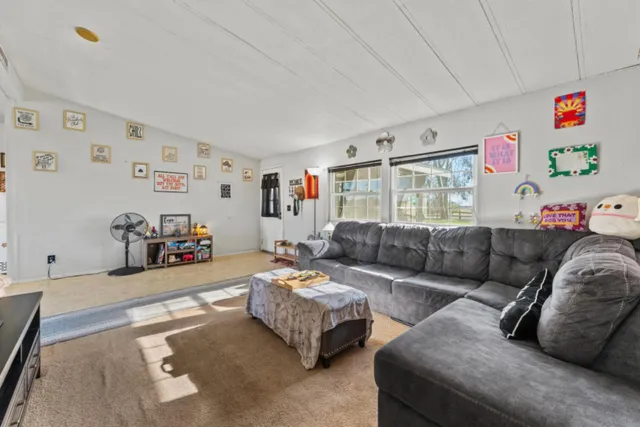 a living room with furniture and a couch