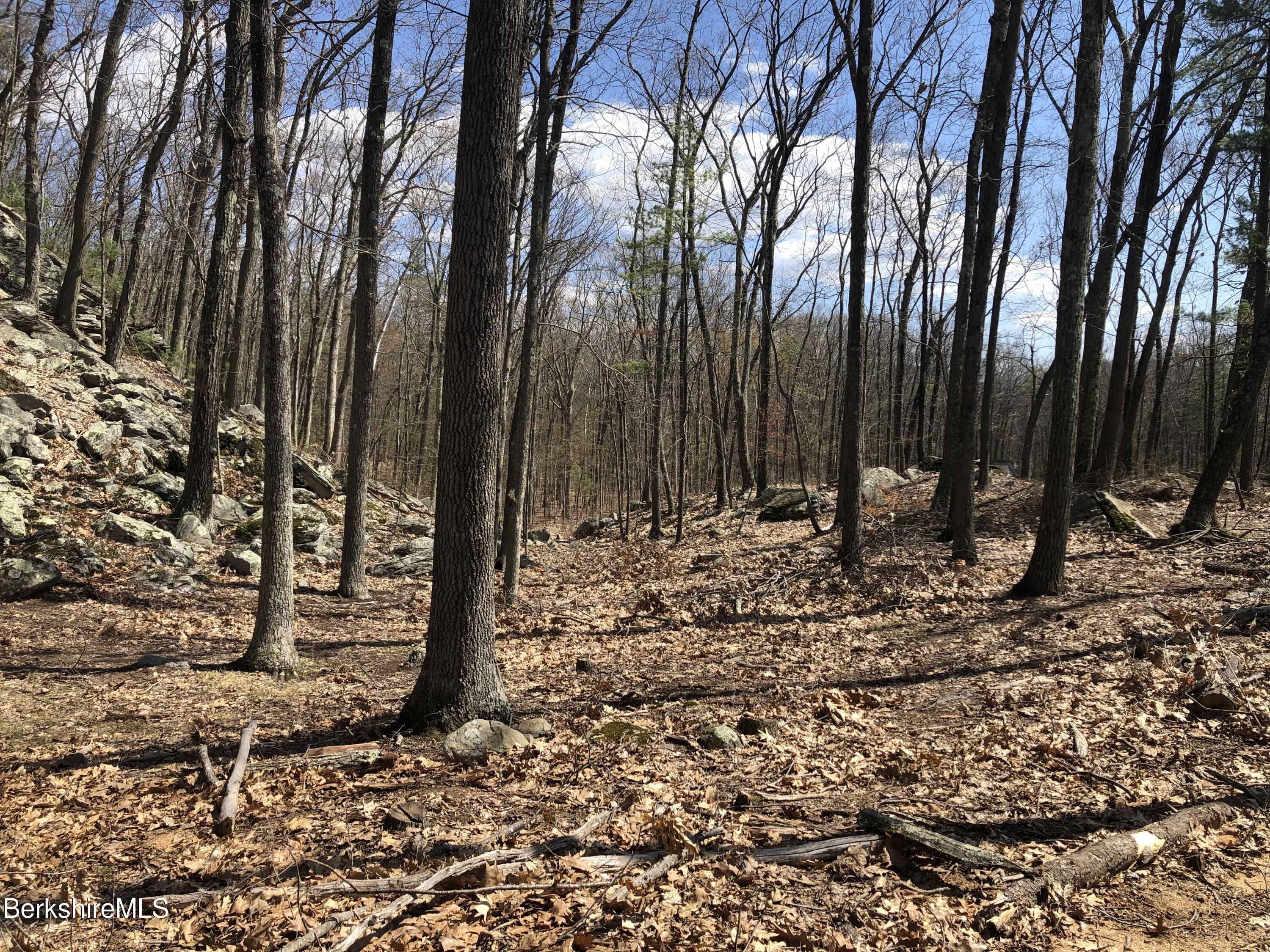 a view of outdoor space with lots of trees