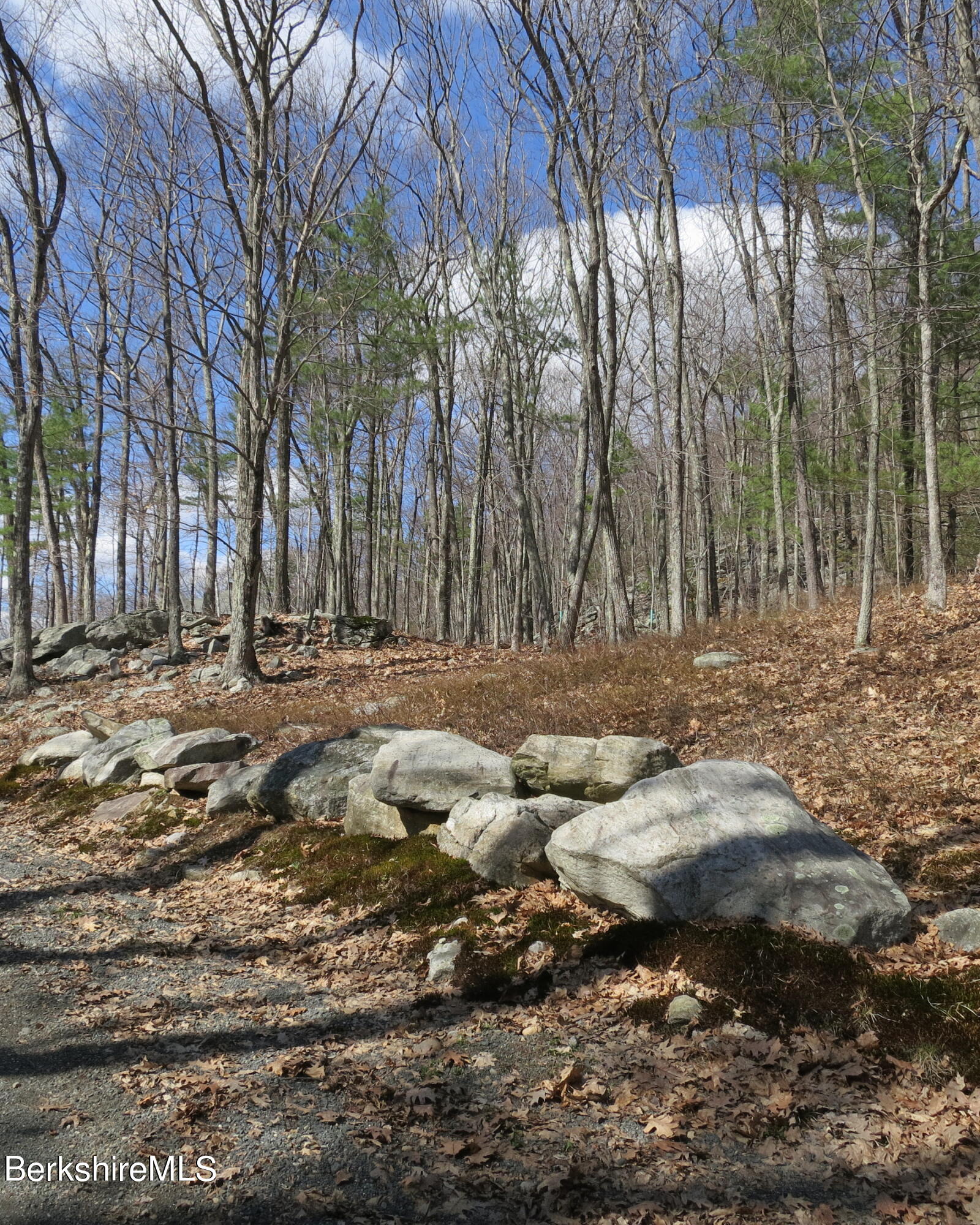 32 Sumner Mountain Road Amherst, MA 01002 - Photo 2 of 6 a view of outdoor space with trees