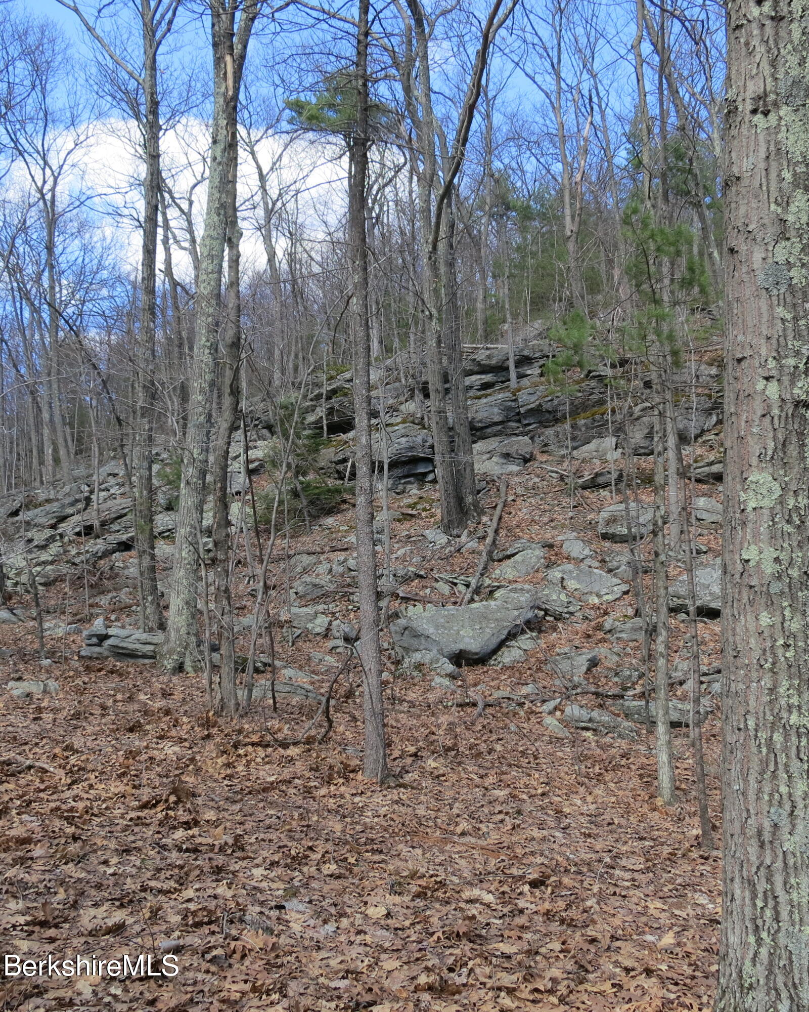 32 Sumner Mountain Road Amherst, MA 01002 - Photo 4 of 6 a view of a yard with lots of green space