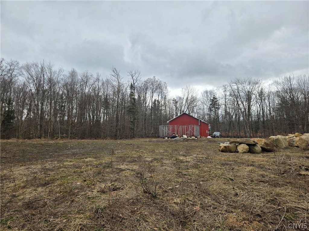 1290 Dairy Hill Road Newport, NY 13416 - Photo 2 of 12