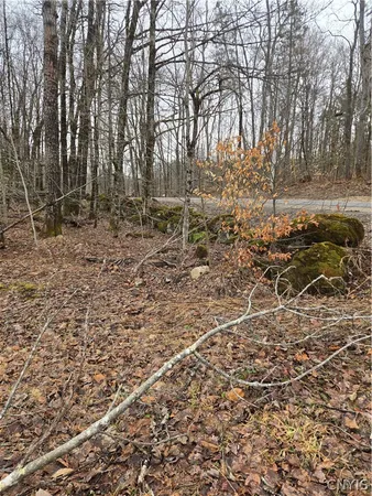 $126,500 | 1290 Dairy Hill Road, Newport, NY 13416