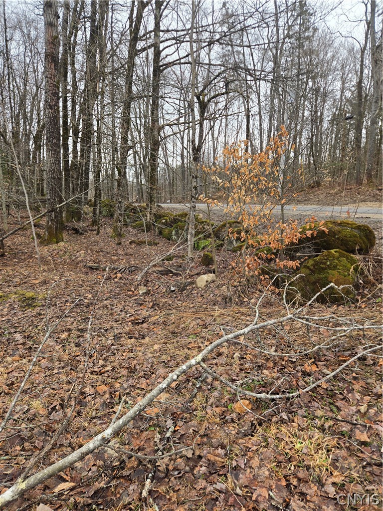 1290 Dairy Hill Road Newport, NY 13416 - Photo 3 of 12