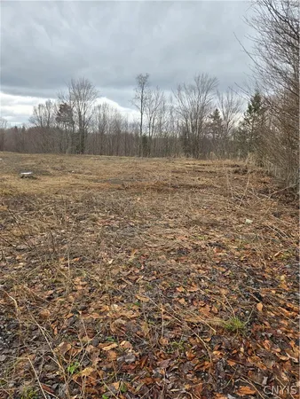 $126,500 | 1290 Dairy Hill Road, Newport, NY 13416