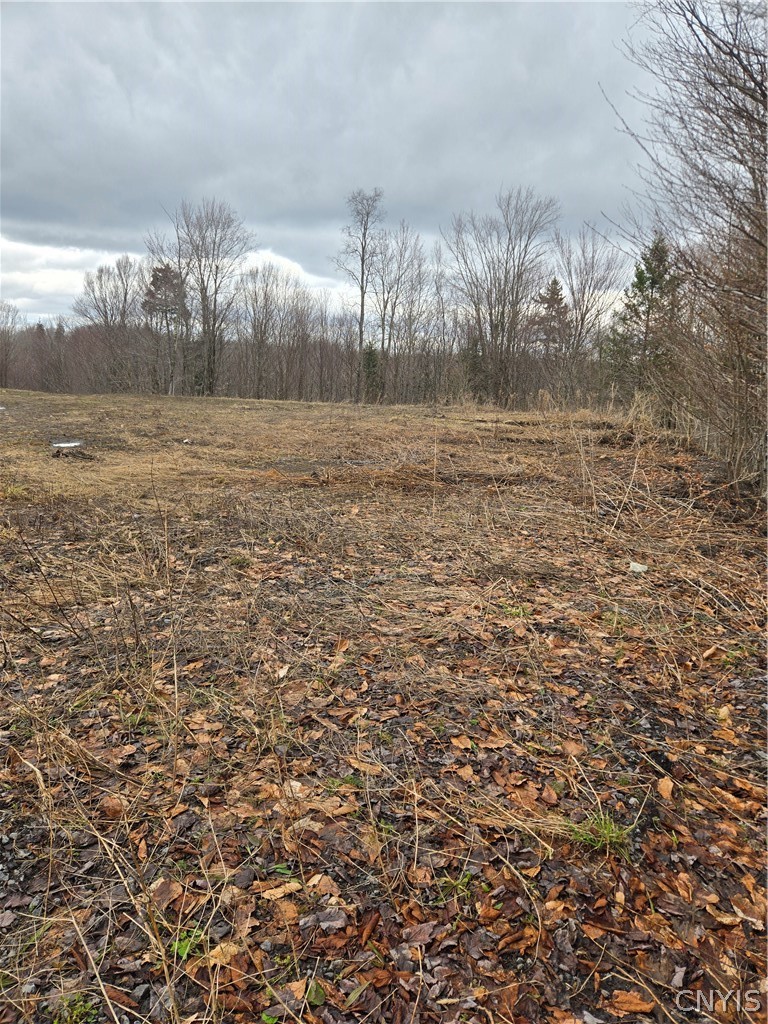 1290 Dairy Hill Road Newport, NY 13416 - Photo 5 of 12