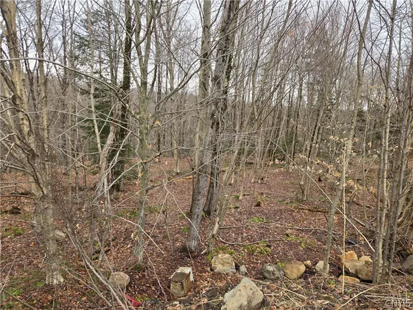 $126,500 | 1290 Dairy Hill Road, Newport, NY 13416