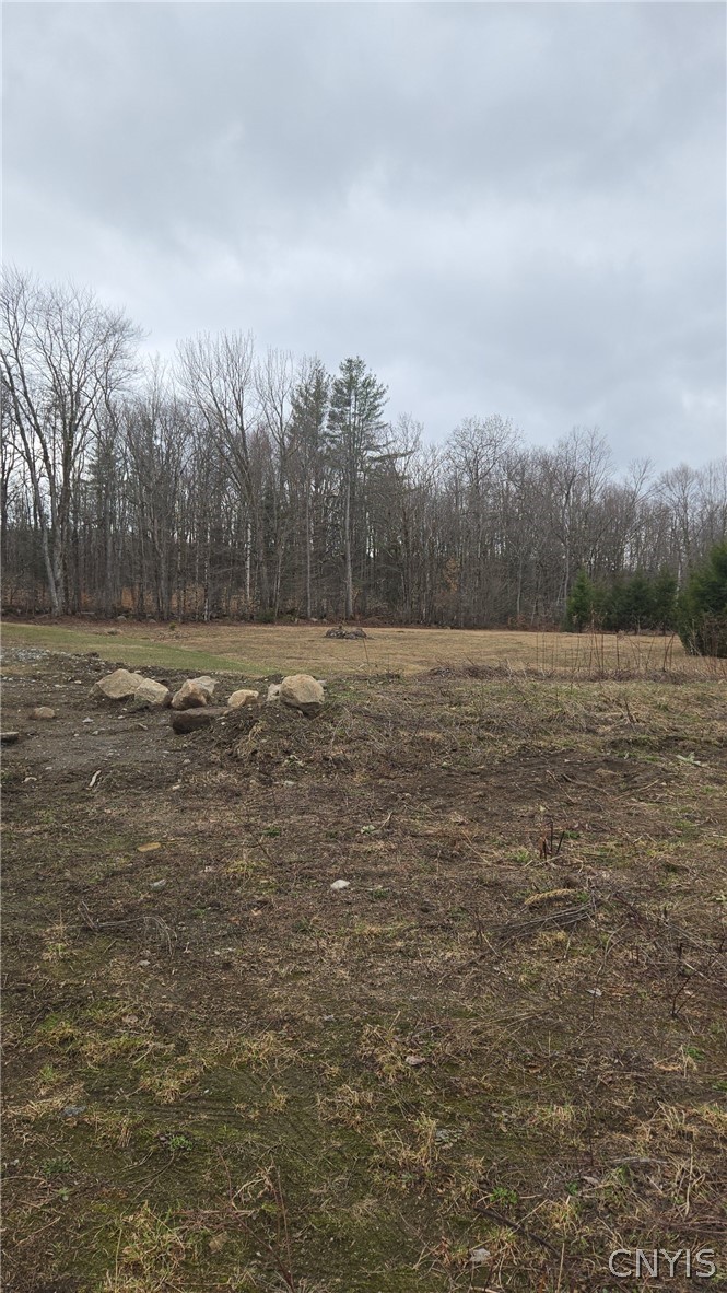 1290 Dairy Hill Road Newport, NY 13416 - Photo 9 of 12