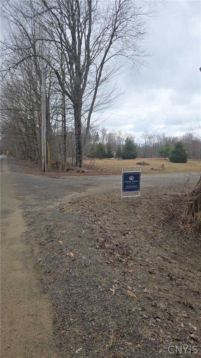 1290 Dairy Hill Road Newport, NY 13416 - Photo 10 of 12