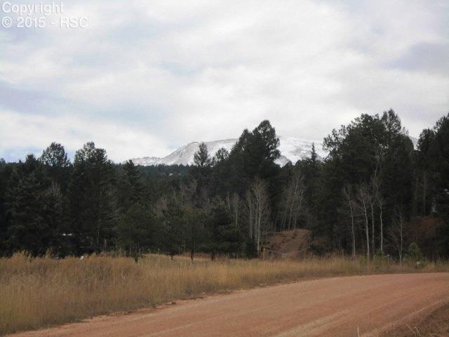 958 Kutsu Ridge Road Florissant, CO 80816 - Photo 6 of 11 Gallery Image 6