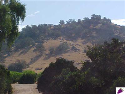 3380 S Cove Reedley, CA 93654 - Photo 1 of 14 Gallery Image 1