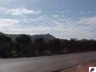 3380 S Cove Reedley, CA 93654 - Photo 3 of 14 Gallery Image 3