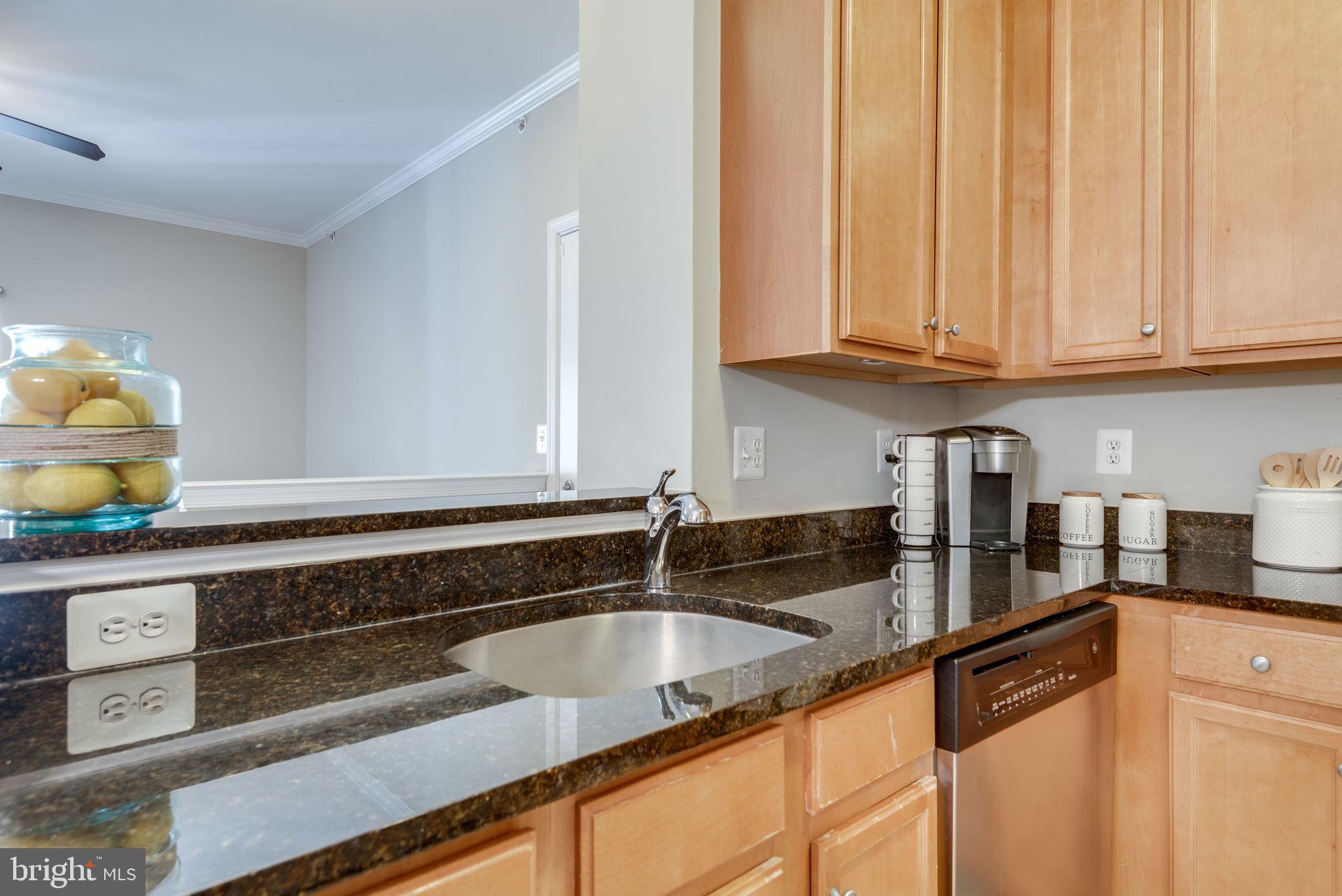 1516 North Point Drive, Unit 304 Reston, VA 20194 - Photo 10 of 22 Granite Counters