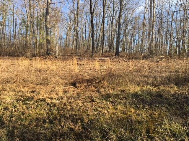 49 Co Road Athens, TN 37303 - Photo 1 of 3